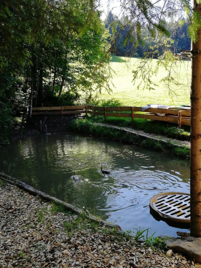 Ferienhaus Am Waldrand Von Egg Bregenzer Wald Kültér fotó