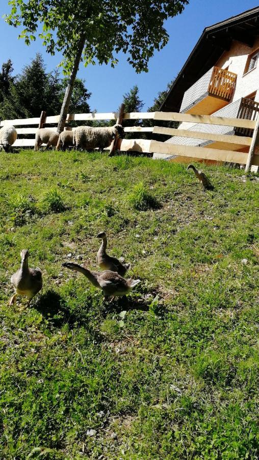 Ferienhaus Am Waldrand Von Egg Bregenzer Wald Kültér fotó