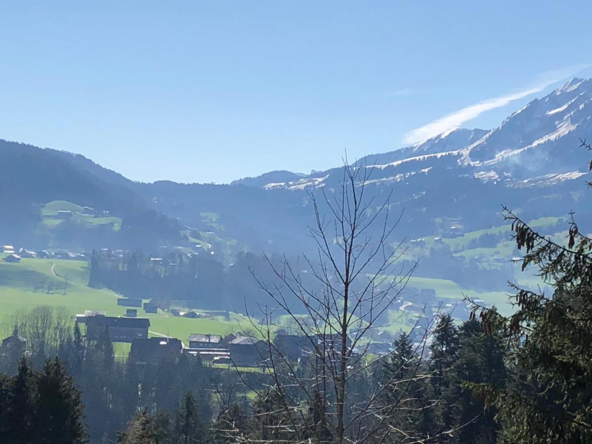Ferienhaus Am Waldrand Von Egg Bregenzer Wald Kültér fotó