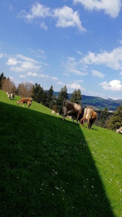 Ferienhaus Am Waldrand Von Egg Bregenzer Wald Kültér fotó